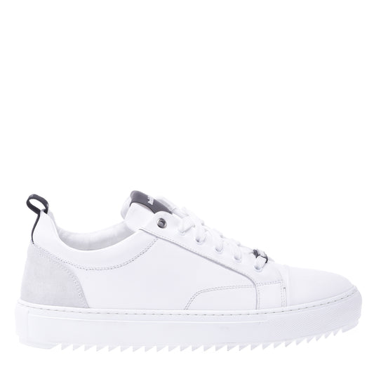Basket basse en cuir de veau blanc